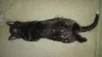 Kit e Kat