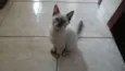 Kit e Kat