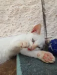 Kiki