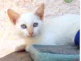 Kiki