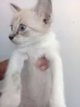 Nick
