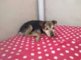 Velhinho Abandonado