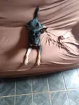 princesa