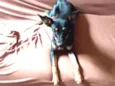 princesa