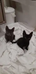Smoke e Nero