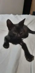 Smoke e Nero