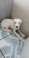 Não sei