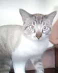 Tom