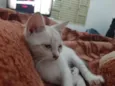 Izzy e Yoga