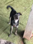 Lennon