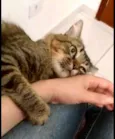 Oliver