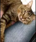 Oliver