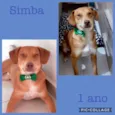 Simba