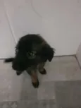 BELINHA