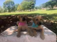 PAÇOCA E AMENDOIM