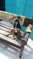 Bebê