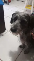 Lola