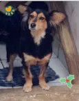 Bruna