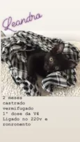 Leandro