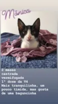 Monica