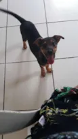 Princesa