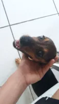 Princesa 