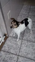 Silveirinha