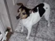 Silveirinha
