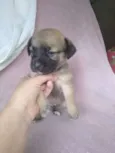 Bili