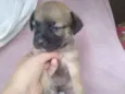 Bili