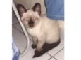 Sem nome