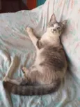 Gabriel