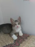 Mike