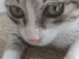 Mike 