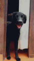 João 