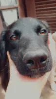 João 