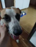 Não sei