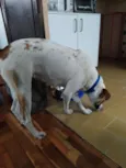 Não sei