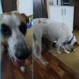 Não sei