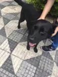 BOLT