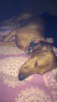 Batuque