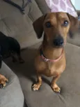 Batuque