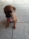 Lila