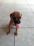 Lila