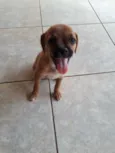 Lila