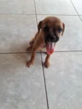 Lila