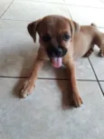 Lila