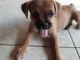 Lila