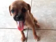 Lila