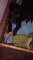 Meg